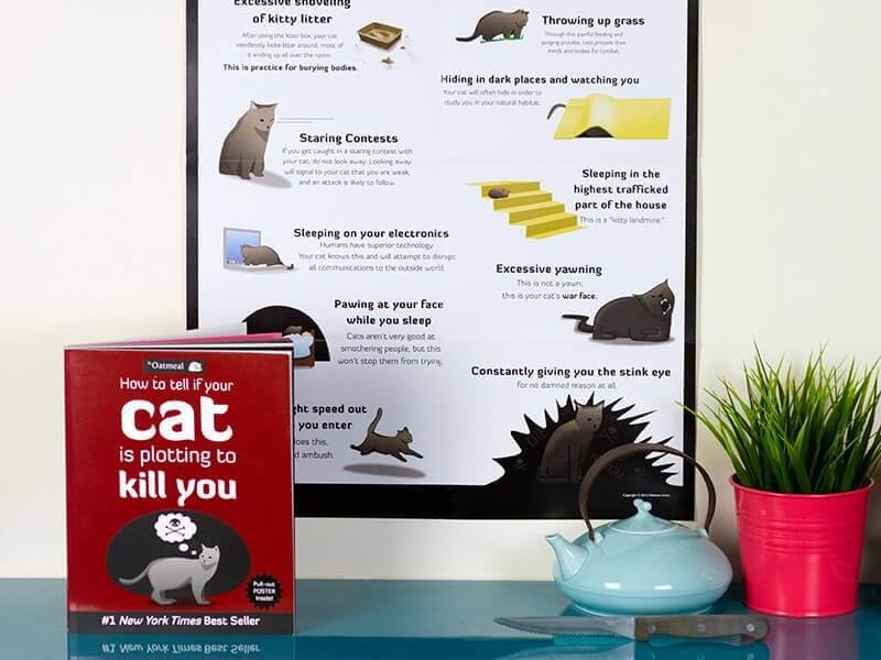 How-To Tell If Your Cat Is Plotting To Kill You1
