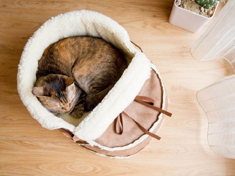 Sherpa Moccasin Cat Bed