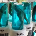 Shark in a bottle