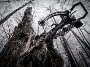 Read more about the article Barnett Whitetail Crossbow
