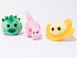 Read more about the article Giant STD Plushies