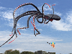 Read more about the article Giant Octopus Kite