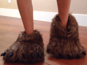 Read more about the article Bear Paw Slippers
