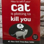 How To Tell If Your Cat Is Plotting To- Kill-You