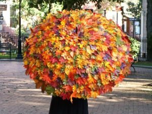 Read more about the article Fall Autumn Leaves Umbrella