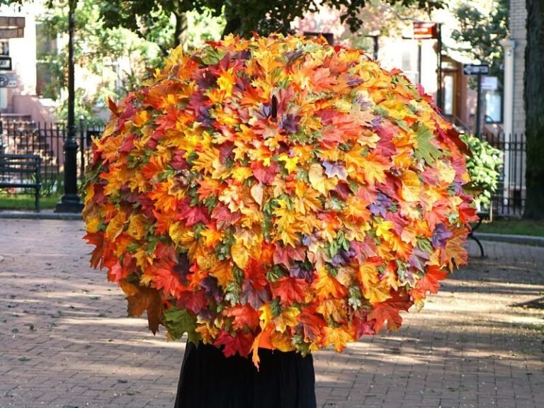 Autumn Umbrella