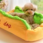 Hot Dog Pet Sofa