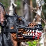 Werewolf Dog Muzzle