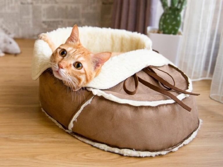 Sherpa Moccasin Cat Bed