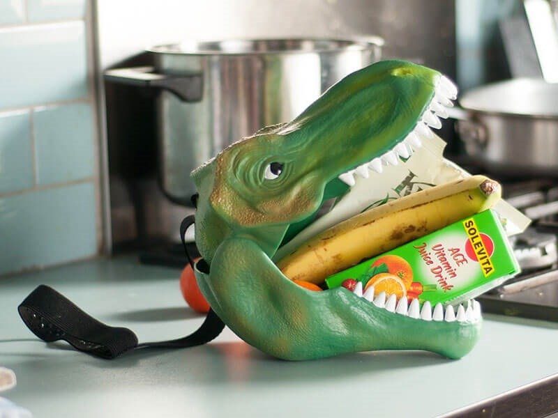 Read more about the article Dinosaur Lunch Box