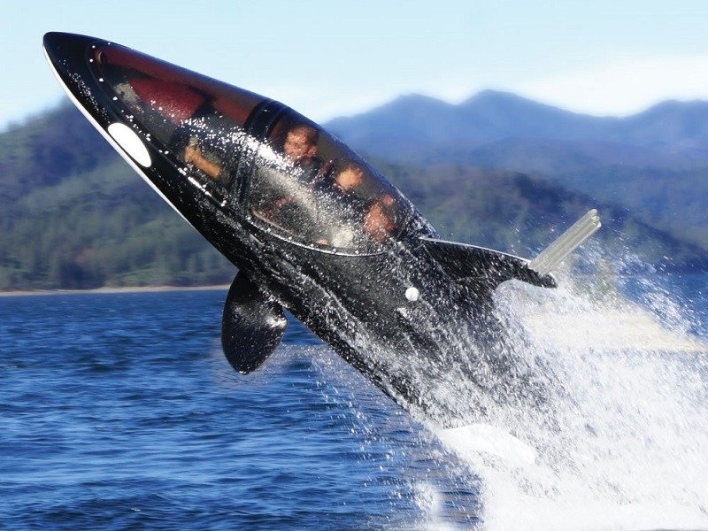 Read more about the article The Killer Whale Submarine