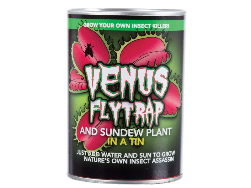 Read more about the article Grow Your Own Venus Fly Trap