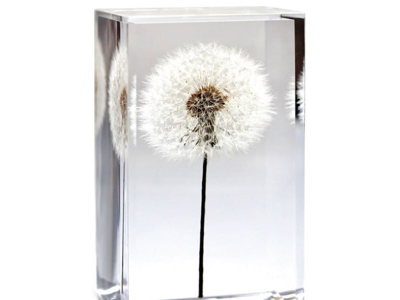 Read more about the article Dandelion Paperweight Cube