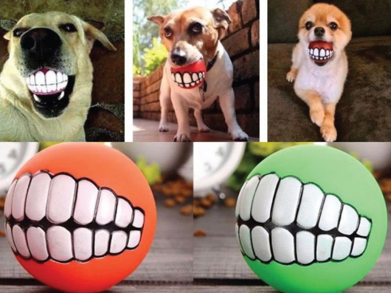 Funny Pet Teeth Toy