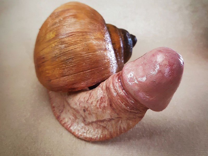 Creepy weird pp snail sculpture
